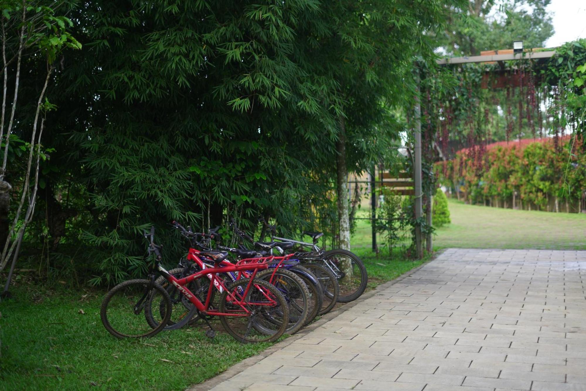 Coffee Greens Resort Wayanad Esterno foto